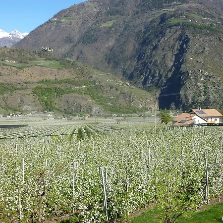 Gletscherblick Naturns